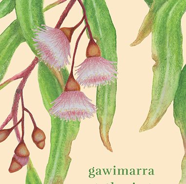 Gawimarra Gathering (2024) by Jeanine Leane